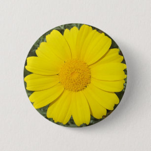 Yellow Daisy button