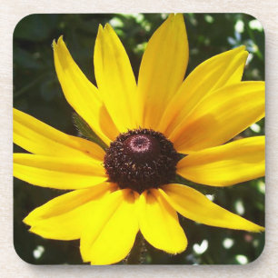 Yellow Daisy Coaster
