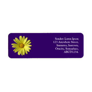 Yellow Daisy - Deep Purple