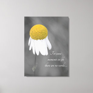 Yellow Daisy flower Canvas Print