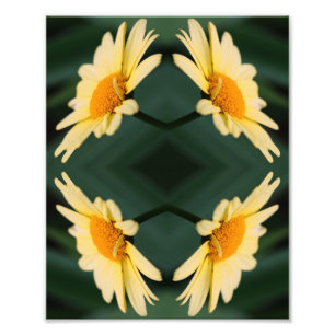 Yellow Daisy Flower Close Up Mirror Abstract 8x10 Photo Print