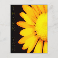 Yellow Daisy Flower Floral Artwork Thank You