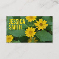Yellow Daisy Flower Floral Nature Photography