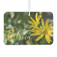 Yellow Daisy Flower Floral Nature Photography