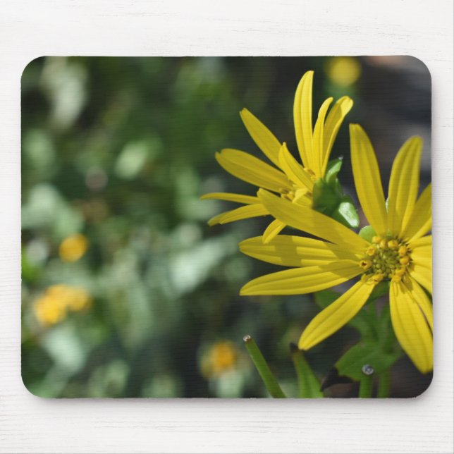 Yellow Daisy Flower Floral Nature Photography Mouse Pad (Front)