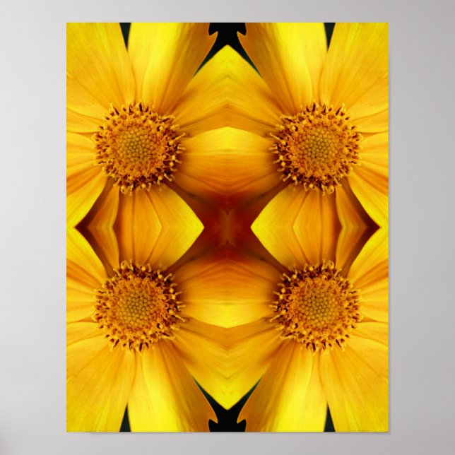Yellow Daisy Flower Petals Abstract   Poster (Front)