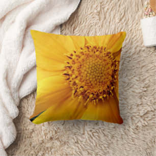 Yellow Daisy Flower Petals And Centre Close Up  Cushion