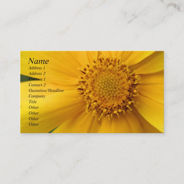 Yellow Daisy Flower Petals Business Card (Front)