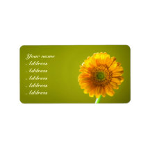 Yellow Daisy Gerbra Flower Wedding
