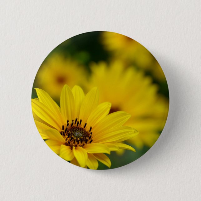 Yellow Daisy Helenium Badge (Front)