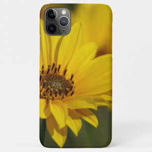 Yellow Daisy Helenium Case-Mate iPhone Case