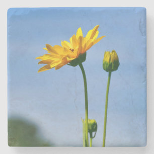 Yellow Daisy Helenium Stone Coaster