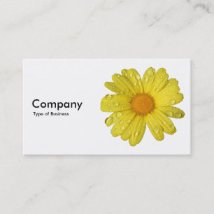 Yellow Daisy in the Rain Business Card