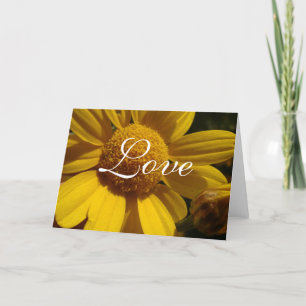 Yellow Daisy Love Card