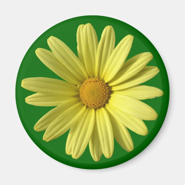 Yellow Daisy Magnet (Front)