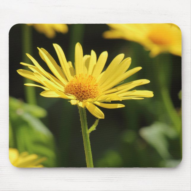 Yellow Daisy Mouse Pad (Front)