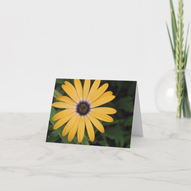 Yellow Daisy Note Card (Front)