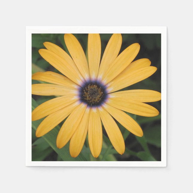 Yellow Daisy Paper Napkin (Front)