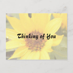 Yellow Daisy Postcard