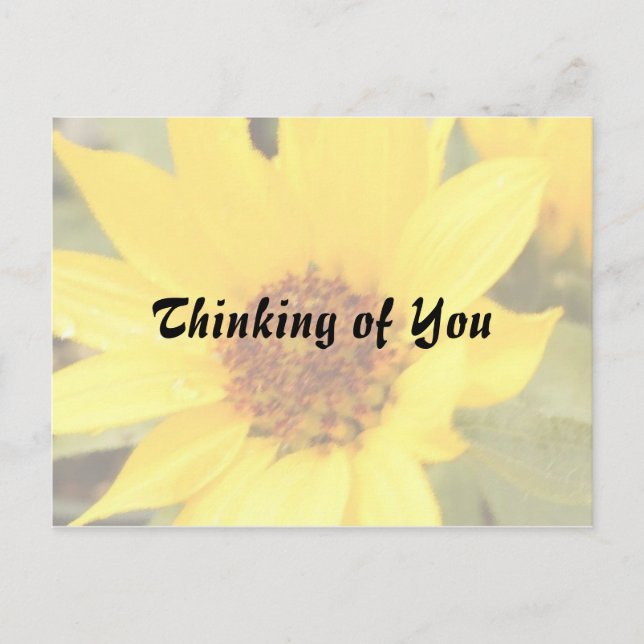 Yellow Daisy Postcard (Front)