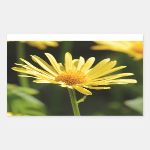 Yellow Daisy Rectangular Sticker
