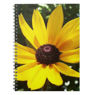 Yellow Daisy Spiral Notebook