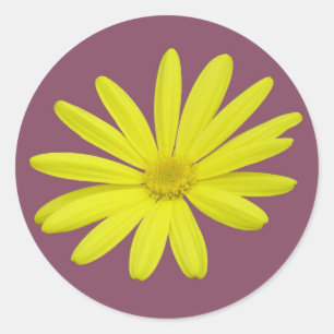 yellow daisy sticker