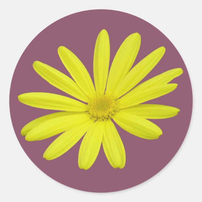 yellow daisy sticker (Front)