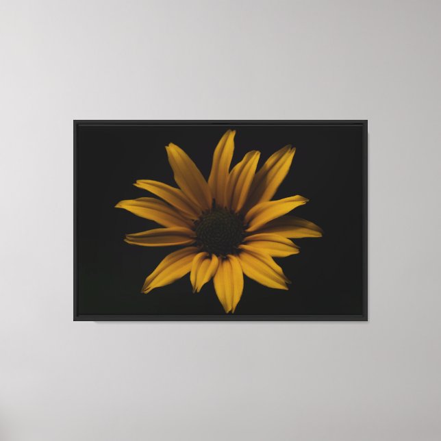 Yellow Daisy Stretched Canvas Print (Front)