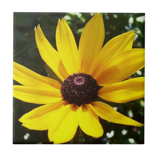 Yellow Daisy Tile (Front)