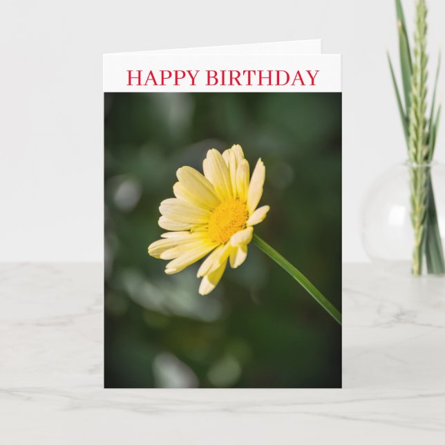 Yellow daisy up close birthday card (Front)
