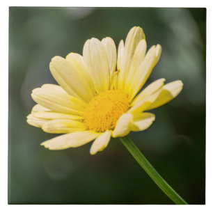 Yellow daisy view ceramic tile