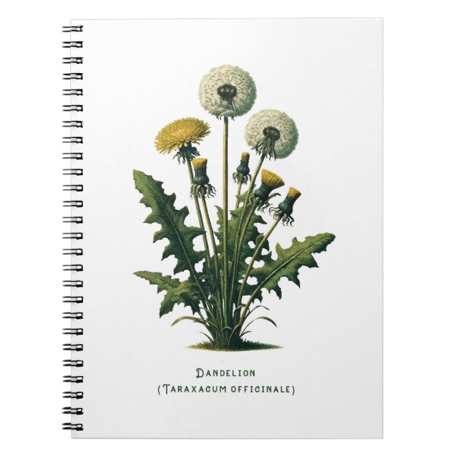 Yellow Dandelion Herbal Journal (Front)