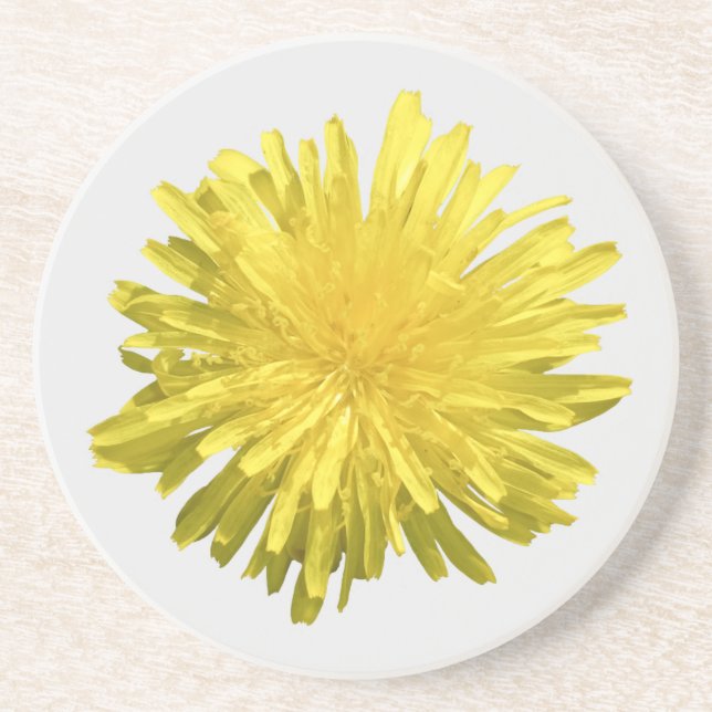 Yellow Dandelion Sandstone Coaster (Front)