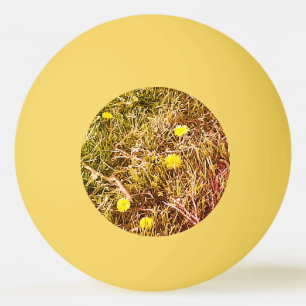 Yellow Dandelions  Dart Board Ping Pong Ball