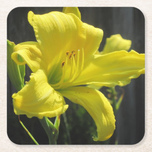 Yellow Day Lily Party Coaster