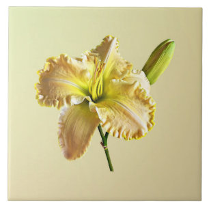 Yellow Day Lily Tile