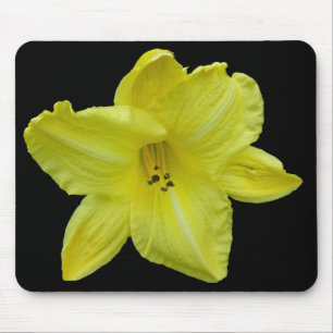 Yellow Daylily Coordinating Items Mouse Pad