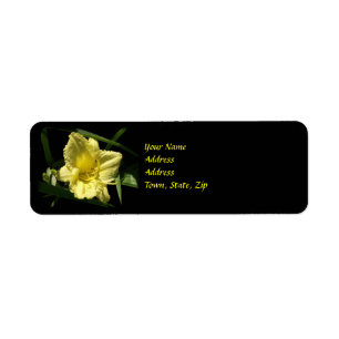 Yellow Daylily Flower