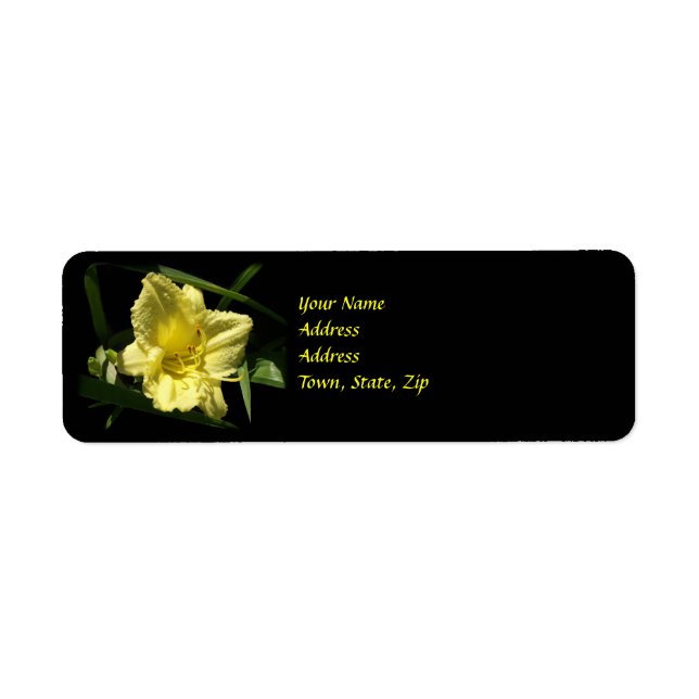 Yellow Daylily Flower (Front)