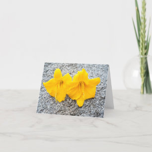 yellow daylily flowers in full bloom thank you card