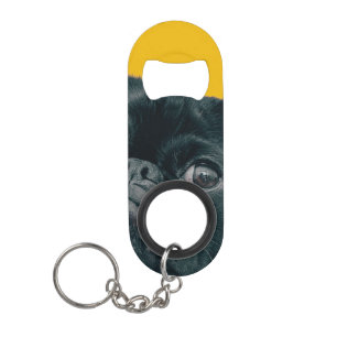 yellow dog