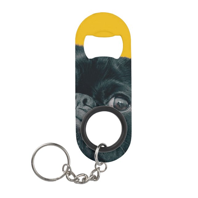 yellow dog (Front)