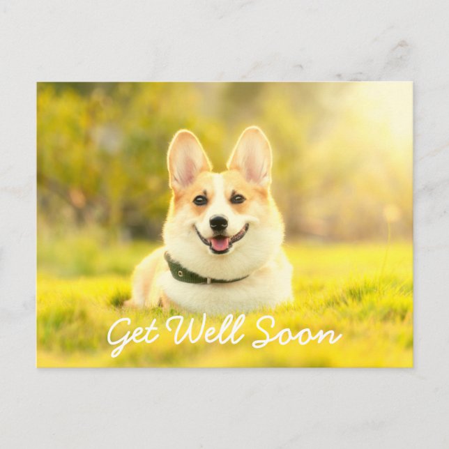 Yellow Dog and Encouragement Get Well Postcard (Front)