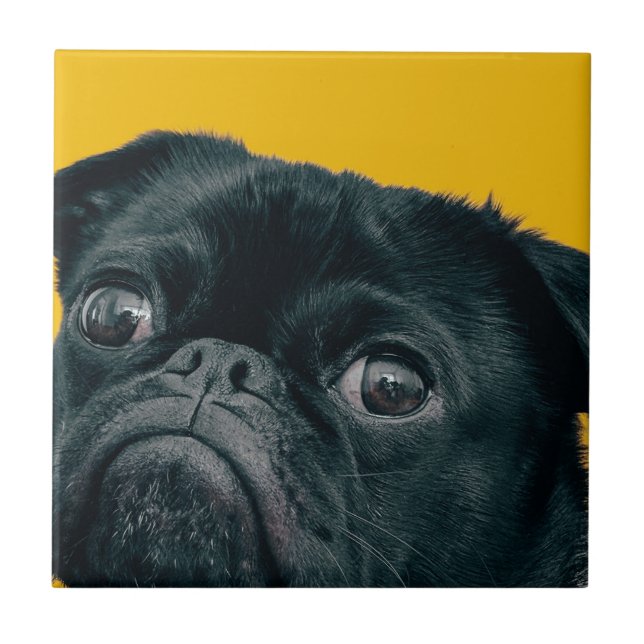 yellow dog tile (Front)