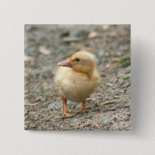 Yellow Duckling button