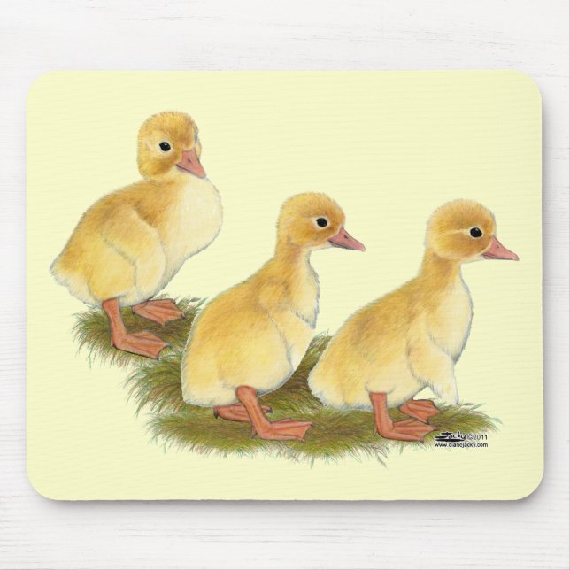Yellow Ducklings Mouse Pad (Front)