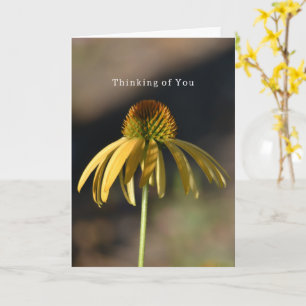 Yellow Echinacea Birthday (photography by me) Card