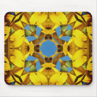 Yellow Echinacea Coneflower Abstract Flower Art