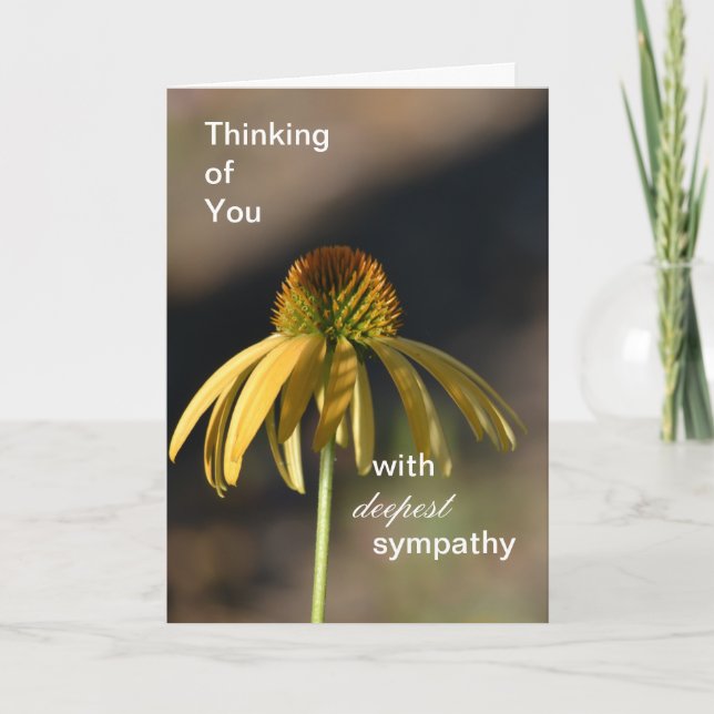 Yellow Echinacea Flower Deepest Sympathy Card (Front)